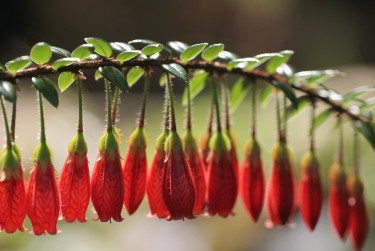 东莞寮步私人快速借钱网，轻松解决资金难题