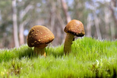 东莞寮步私人老板放款：轻松融资的秘密通道